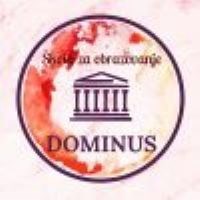 Logo Ustanova za obrazovanje odraslih Dominus